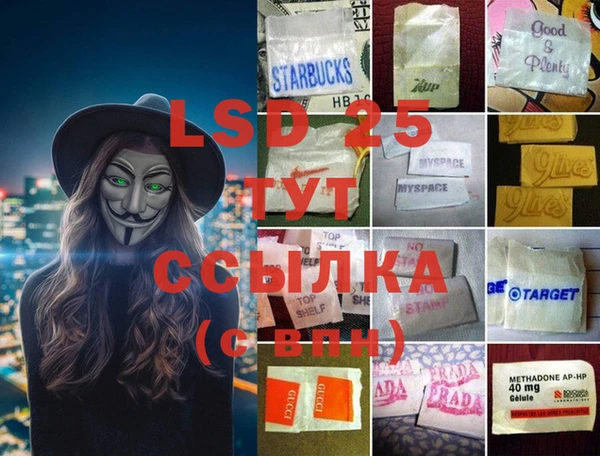 ГАЛЛЮЦИНОГЕННЫЕ ГРИБЫ Кукмор