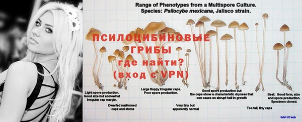прущая мука Кулебаки