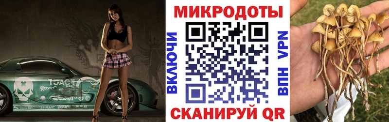 Купить  Николаевск  Псилоцибиновые грибы Magic Shrooms 